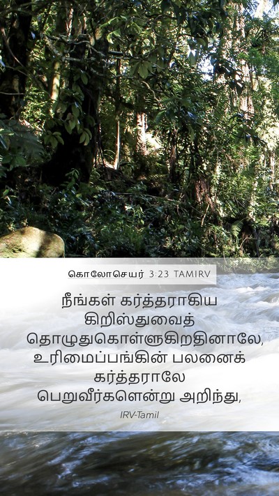 கொலோசெயர் 3:23 TAMIRV Bible Verse Image