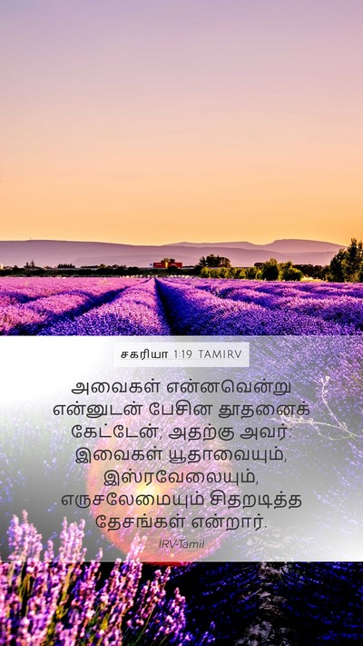 சகரியா 1:19 TAMIRV Bible Verse Image