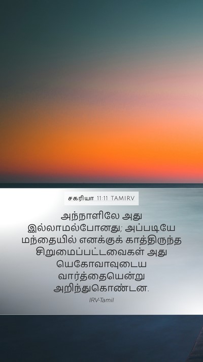 சகரியா 11:11 TAMIRV Bible Verse Image