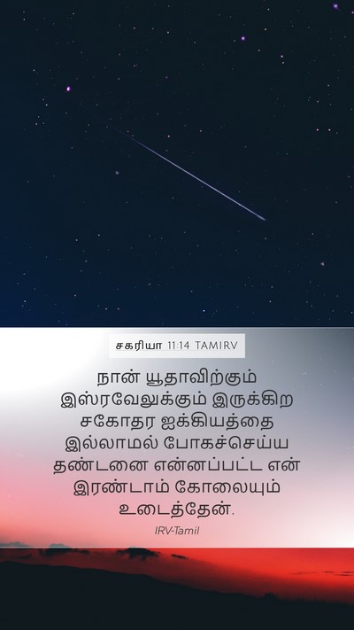 சகரியா 11:14 TAMIRV Bible Verse Image