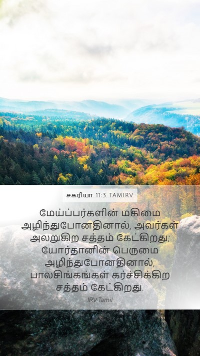 சகரியா 11:3 TAMIRV Bible Verse Image