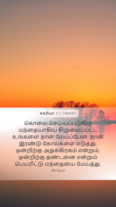 சகரியா 11:7 TAMIRV Bible Verse Image