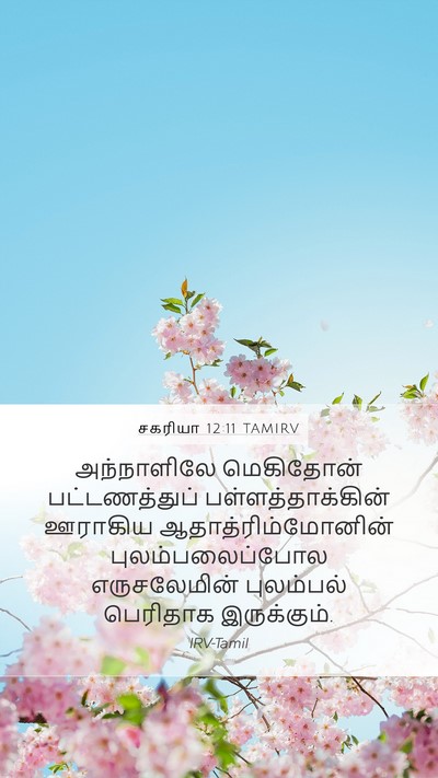 சகரியா 12:11 TAMIRV Bible Verse Image