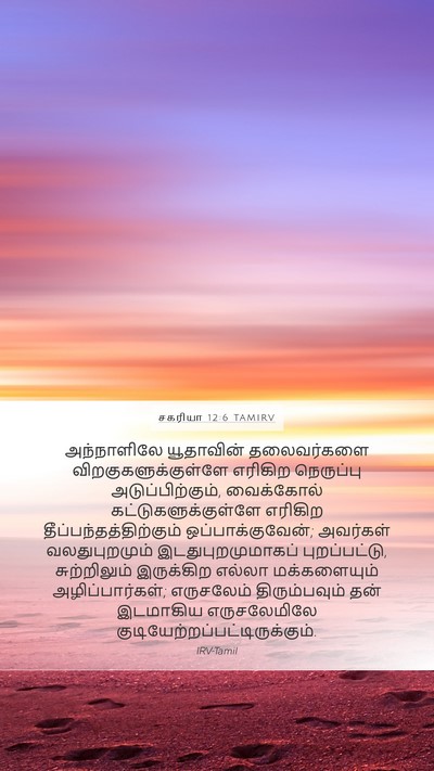 சகரியா 12:6 TAMIRV Bible Verse Image