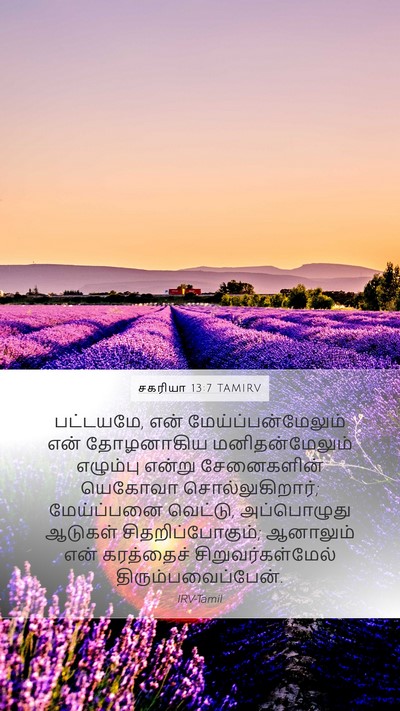 சகரியா 13:7 TAMIRV Bible Verse Image