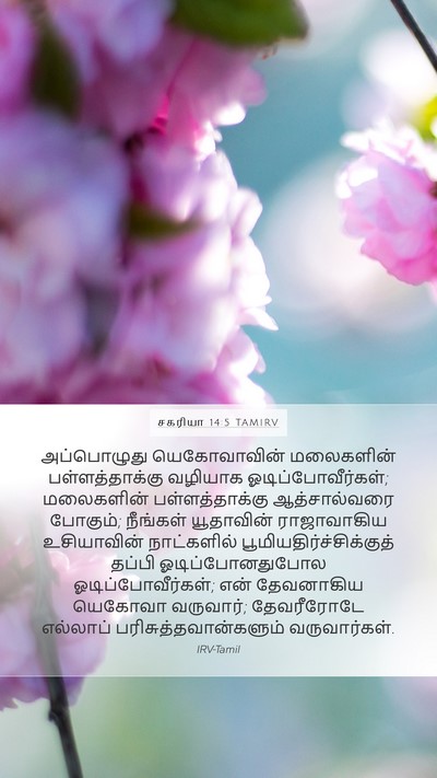சகரியா 14:5 TAMIRV Bible Verse Image