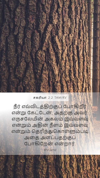 சகரியா 2:2 TAMIRV Bible Verse Image