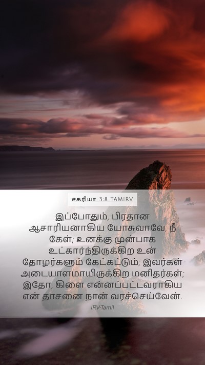 சகரியா 3:8 TAMIRV Bible Verse Image