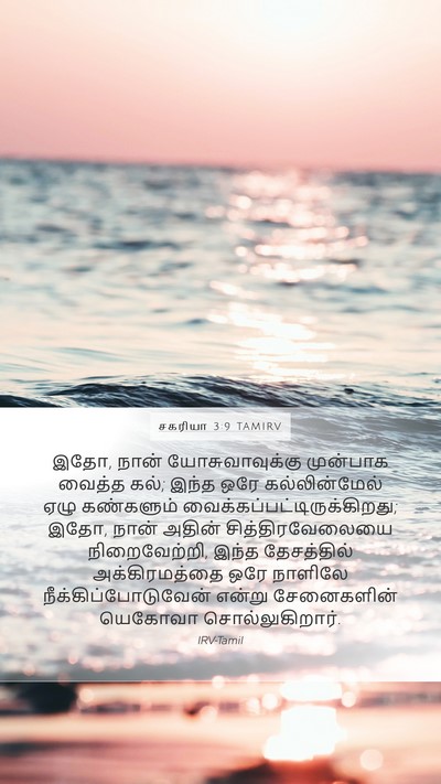 சகரியா 3:9 TAMIRV Bible Verse Image