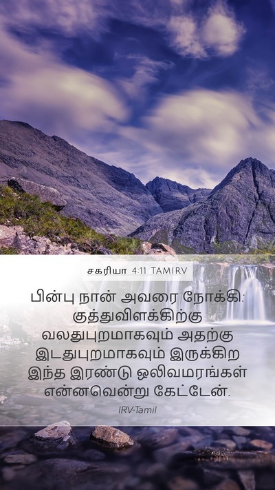 சகரியா 4:11 TAMIRV Bible Verse Image