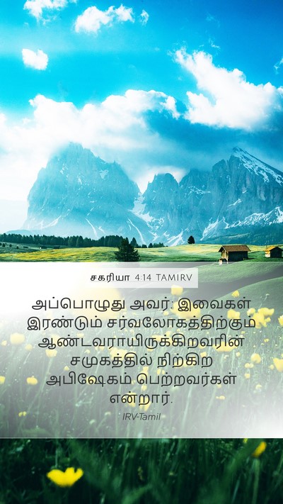 சகரியா 4:14 TAMIRV Bible Verse Image