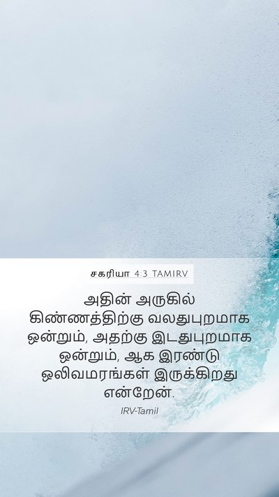 சகரியா 4:3 TAMIRV Mobile Phone Wallpaper - அதின் அருகில் - Mobile Bible Verse Wallpaper