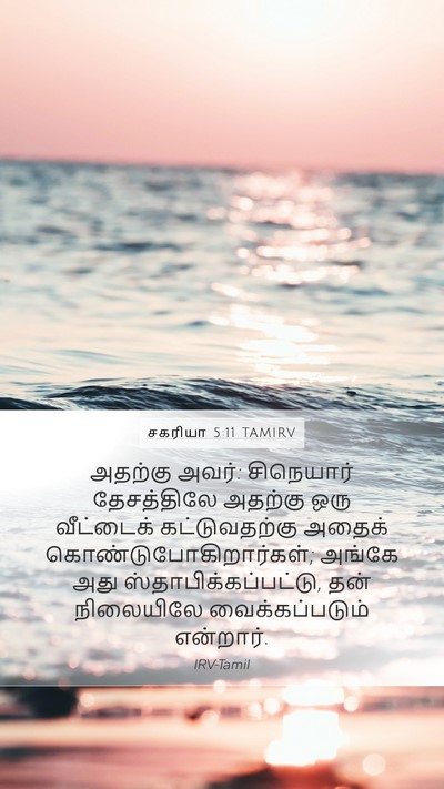 சகரியா 5:11 TAMIRV Bible Verse Image
