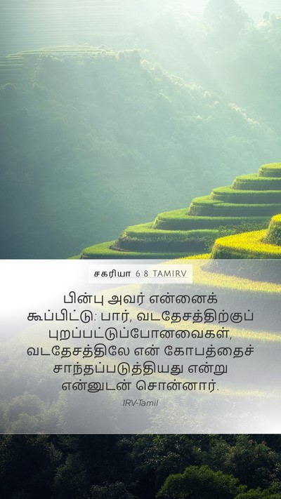 சகரியா 6:8 TAMIRV Bible Verse Image