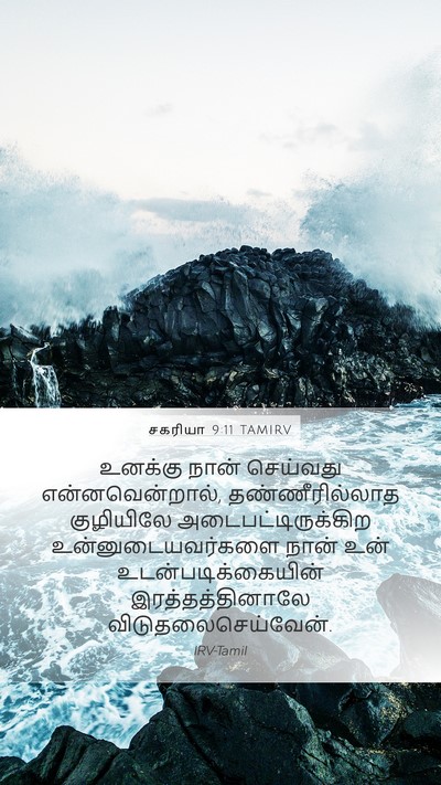 சகரியா 9:11 TAMIRV Bible Verse Image
