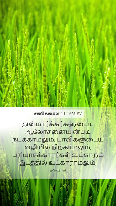 சங்கீதங்கள் 1:1 TAMIRV Mobile Phone Wallpaper -  - Mobile Bible Verse Wallpaper