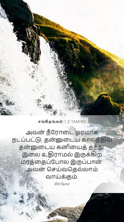 சங்கீதங்கள் 1:3 TAMIRV Bible Verse Image