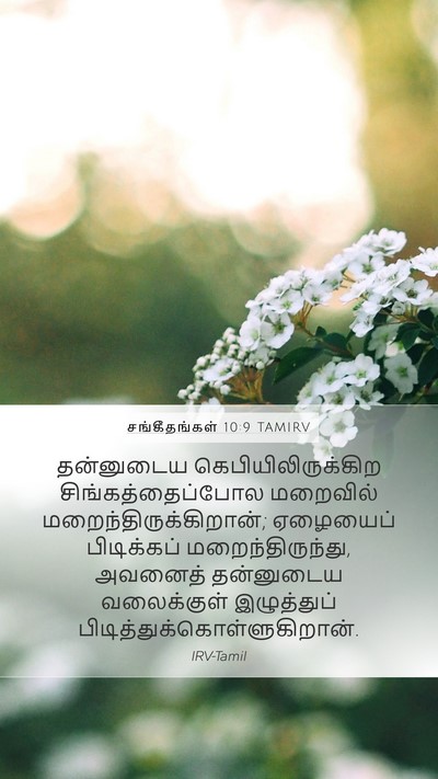 சங்கீதங்கள் 10:9 TAMIRV Bible Verse Image