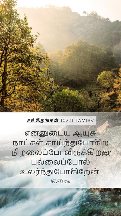 சங்கீதங்கள் 102:11 TAMIRV Bible Verse Image