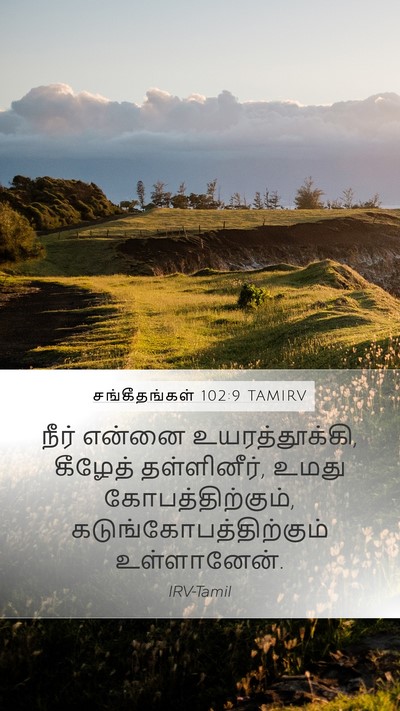 சங்கீதங்கள் 102:9 TAMIRV Bible Verse Image