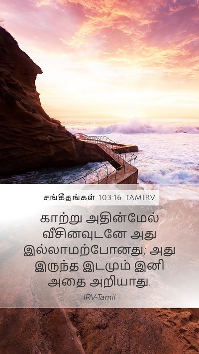சங்கீதங்கள் 103:16 TAMIRV Mobile Phone Wallpaper - காற்று அதின்மேல் - Mobile Bible Verse Wallpaper