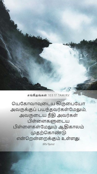 சங்கீதங்கள் 103:17 TAMIRV Bible Verse Image