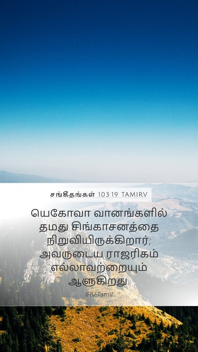 சங்கீதங்கள் 103:19 TAMIRV Bible Verse Image