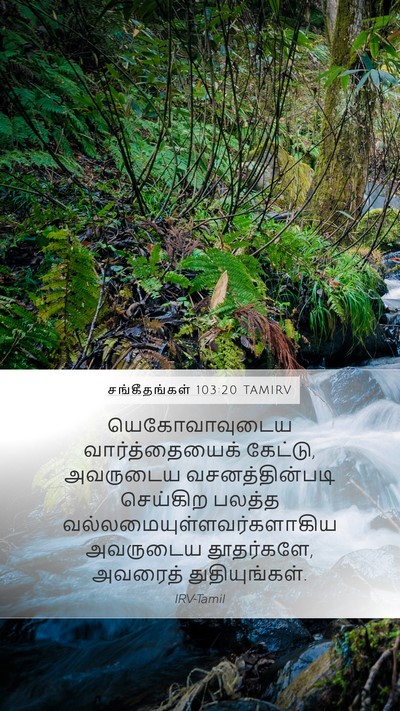 சங்கீதங்கள் 103:20 TAMIRV Bible Verse Image