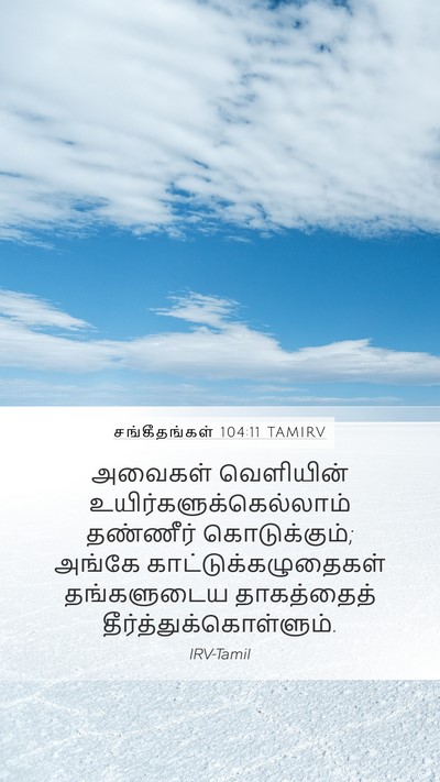 சங்கீதங்கள் 104:11 TAMIRV Mobile Phone Wallpaper - அவைகள் வெளியின் - Mobile Bible Verse Wallpaper