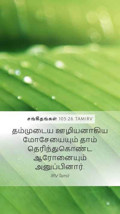 சங்கீதங்கள் 105:26 TAMIRV Bible Verse Image