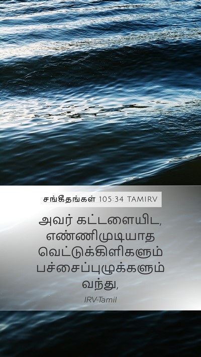 சங்கீதங்கள் 105:34 TAMIRV Bible Verse Image