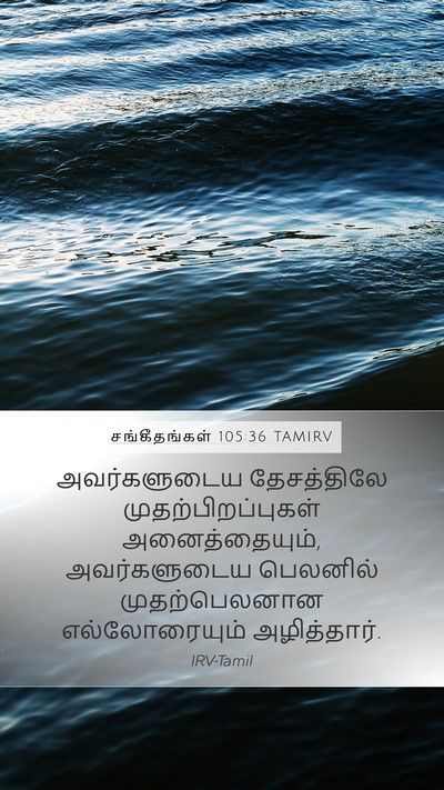 சங்கீதங்கள் 105:36 TAMIRV Bible Verse Image