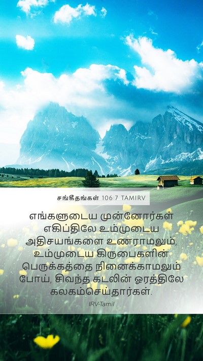 சங்கீதங்கள் 106:7 TAMIRV Bible Verse Image