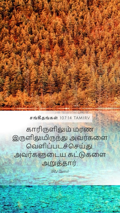 சங்கீதங்கள் 107:14 TAMIRV Bible Verse Image