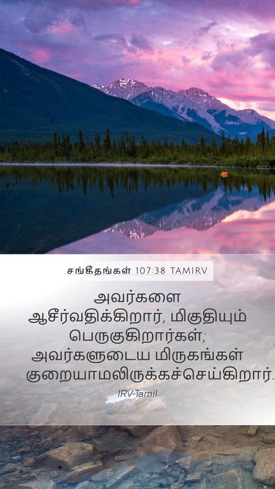 சங்கீதங்கள் 107:38 TAMIRV Bible Verse Image