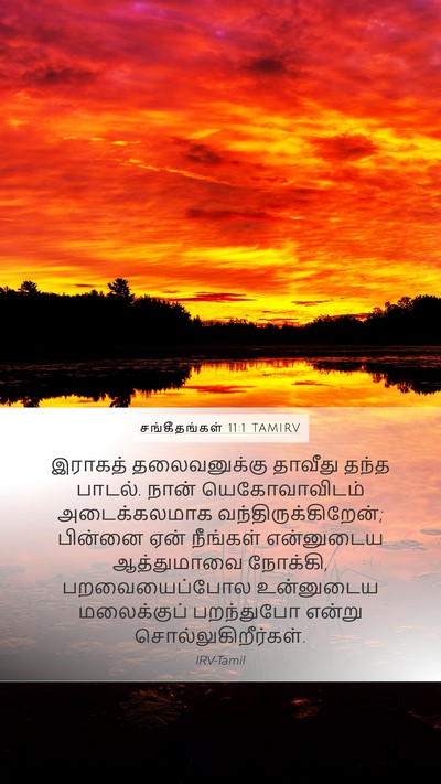 சங்கீதங்கள் 11:1 TAMIRV Mobile Phone Wallpaper - இராகத் தலைவனுக்கு - Mobile Bible Verse Wallpaper