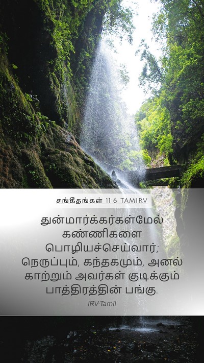 சங்கீதங்கள் 11:6 TAMIRV Bible Verse Image
