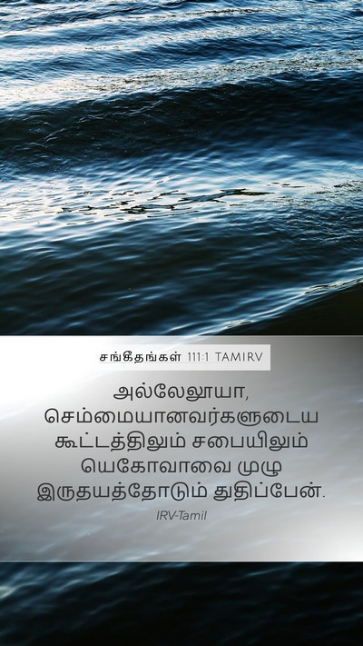 சங்கீதங்கள் 111:1 TAMIRV Bible Verse Image