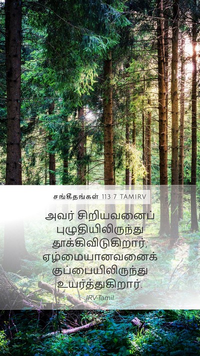 சங்கீதங்கள் 113:7 TAMIRV Bible Verse Image