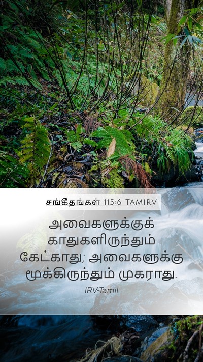 சங்கீதங்கள் 115:6 TAMIRV Mobile Phone Wallpaper - அவைகளுக்குக் - Mobile Bible Verse Wallpaper