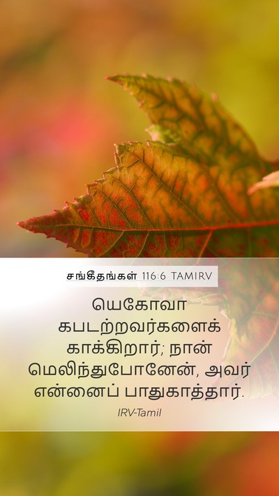 சங்கீதங்கள் 116:6 TAMIRV Bible Verse Image