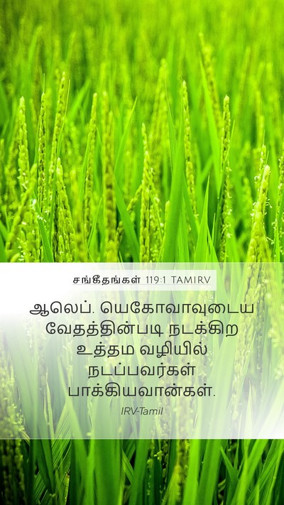 சங்கீதங்கள் 119:1 TAMIRV Bible Verse Image