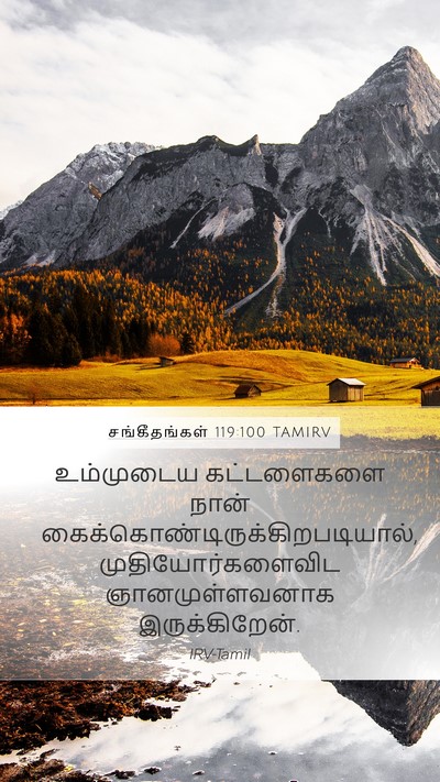 சங்கீதங்கள் 119:100 TAMIRV Bible Verse Image