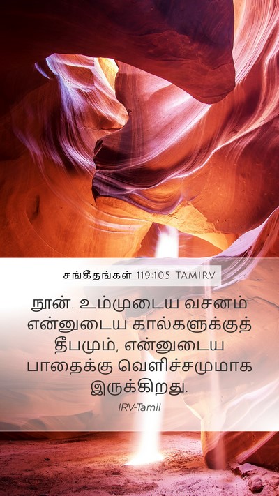 சங்கீதங்கள் 119:105 TAMIRV Bible Verse Image