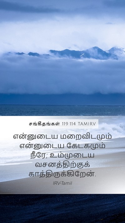 சங்கீதங்கள் 119:114 TAMIRV Bible Verse Image