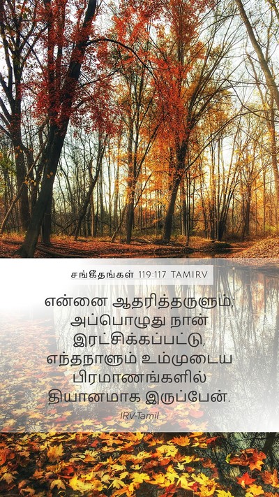 சங்கீதங்கள் 119:117 TAMIRV Bible Verse Image