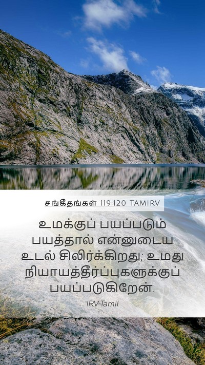 சங்கீதங்கள் 119:120 TAMIRV Bible Verse Image
