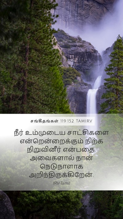 சங்கீதங்கள் 119:152 TAMIRV Bible Verse Image