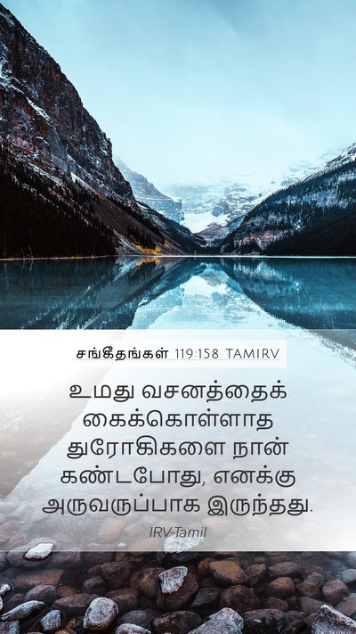 சங்கீதங்கள் 119:158 TAMIRV Bible Verse Image