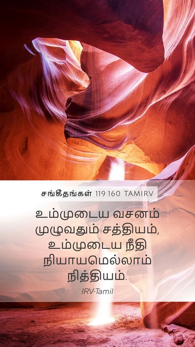சங்கீதங்கள் 119:160 TAMIRV Bible Verse Image